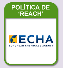 REACH Policy